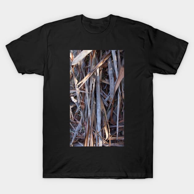 Woof - Tree Bark at Magpie Springs by Avril Thomas T-Shirt by MagpieSprings